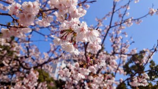20240315_111017~2.JPG