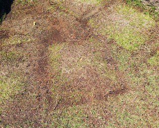 DSC_2010~40.JPG