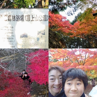 IMG_20201116_095846.jpg