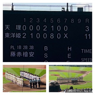 IMG_3636.jpeg