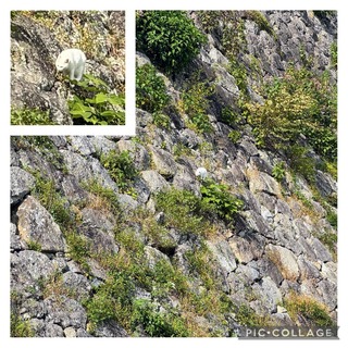 IMG_3648.jpeg
