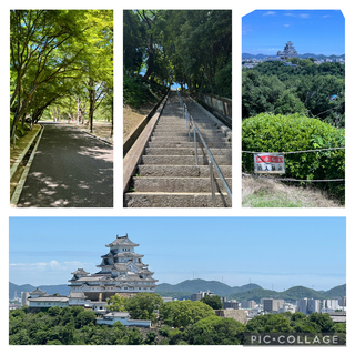 IMG_4768.jpeg