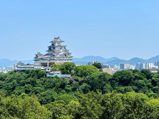 IMG_4850.jpeg