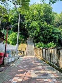 IMG_4860.jpeg
