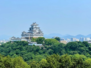 IMG_4874.jpeg
