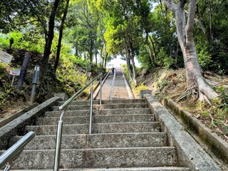 IMG_4885.jpeg