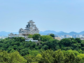 IMG_4953.jpeg