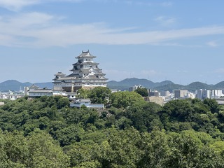 IMG_4972.jpeg