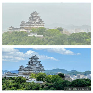 IMG_4989.jpeg