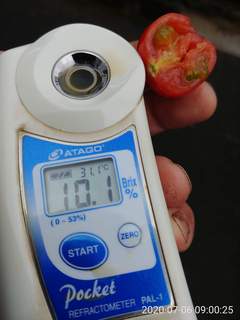received_349234582732616.jpeg